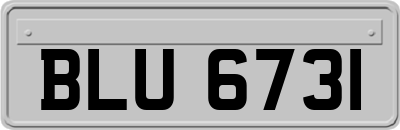 BLU6731