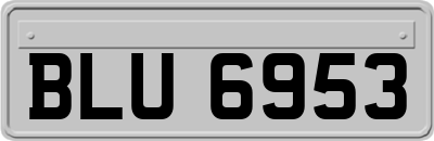 BLU6953