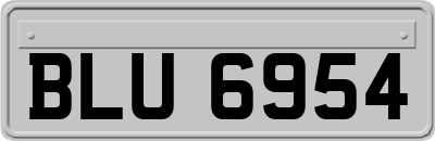 BLU6954