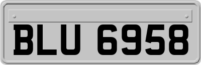 BLU6958