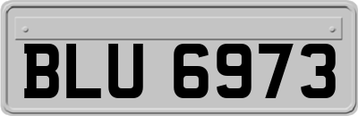 BLU6973