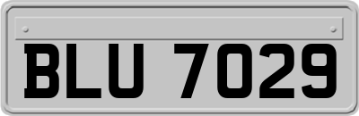 BLU7029
