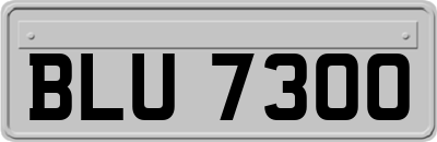 BLU7300