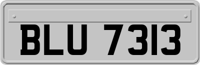 BLU7313
