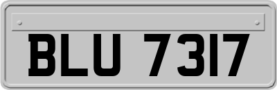 BLU7317