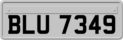 BLU7349