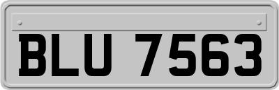 BLU7563