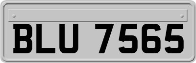 BLU7565