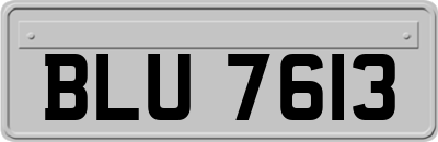 BLU7613
