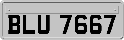 BLU7667