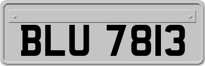 BLU7813