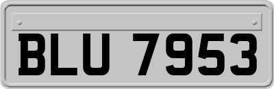 BLU7953