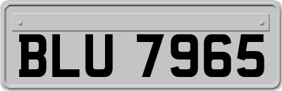 BLU7965