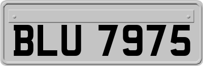 BLU7975