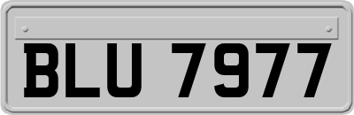 BLU7977