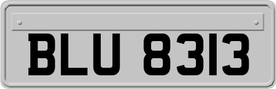 BLU8313