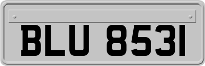 BLU8531