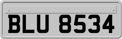 BLU8534
