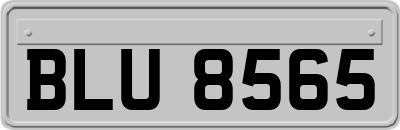 BLU8565