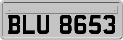 BLU8653