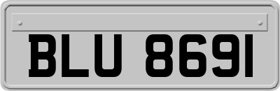 BLU8691