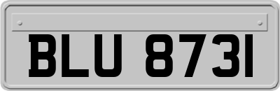 BLU8731