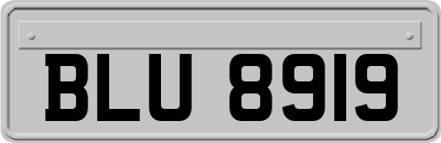 BLU8919