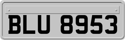 BLU8953