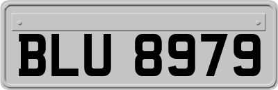 BLU8979