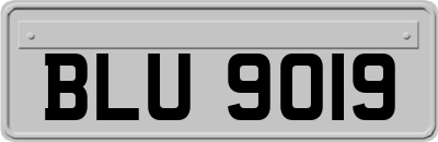 BLU9019