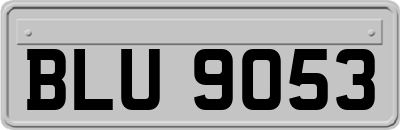 BLU9053