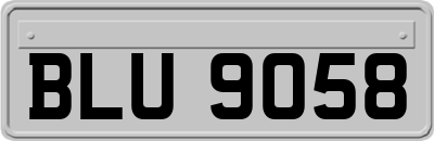 BLU9058