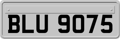 BLU9075