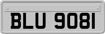 BLU9081
