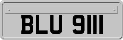 BLU9111