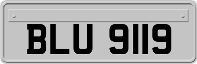 BLU9119