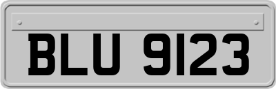 BLU9123