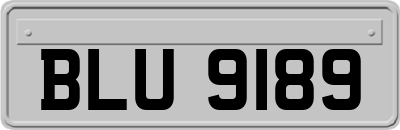 BLU9189