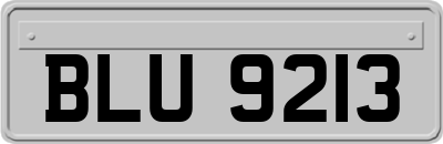 BLU9213