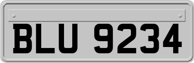 BLU9234