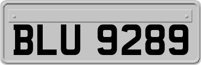 BLU9289
