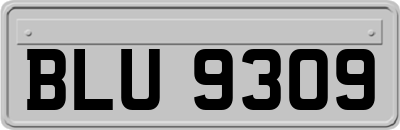 BLU9309