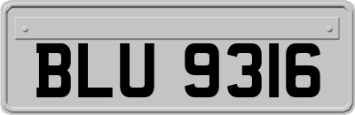 BLU9316