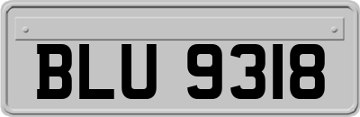 BLU9318
