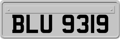 BLU9319