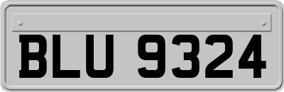 BLU9324