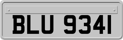 BLU9341