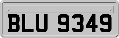 BLU9349
