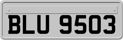 BLU9503