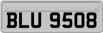 BLU9508